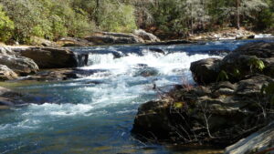 Chattooga River