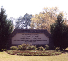 Entrance Gate