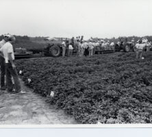 Coastal Plain Experiment Station