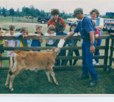 Calf Feeding