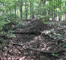 Confederate Earthwork