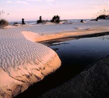 Cumberland Island