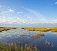 Cumberland Island