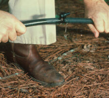 Xeriscape Gardening