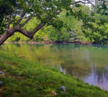 Etowah River