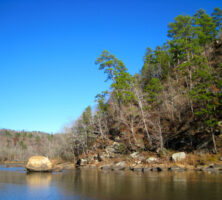 The Flint River