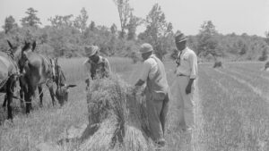 Flint River Farms Resettlement Community