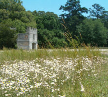 Fort Frederica