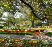 Georgia Southern University