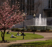 Hurt Park and Alumni Hall