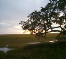 Glynn County Marsh