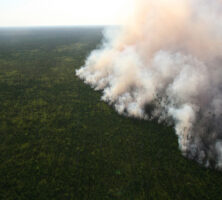 Honey Prairie Fire