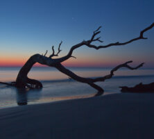 Jekyll Island