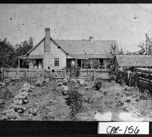 Kitchen Garden