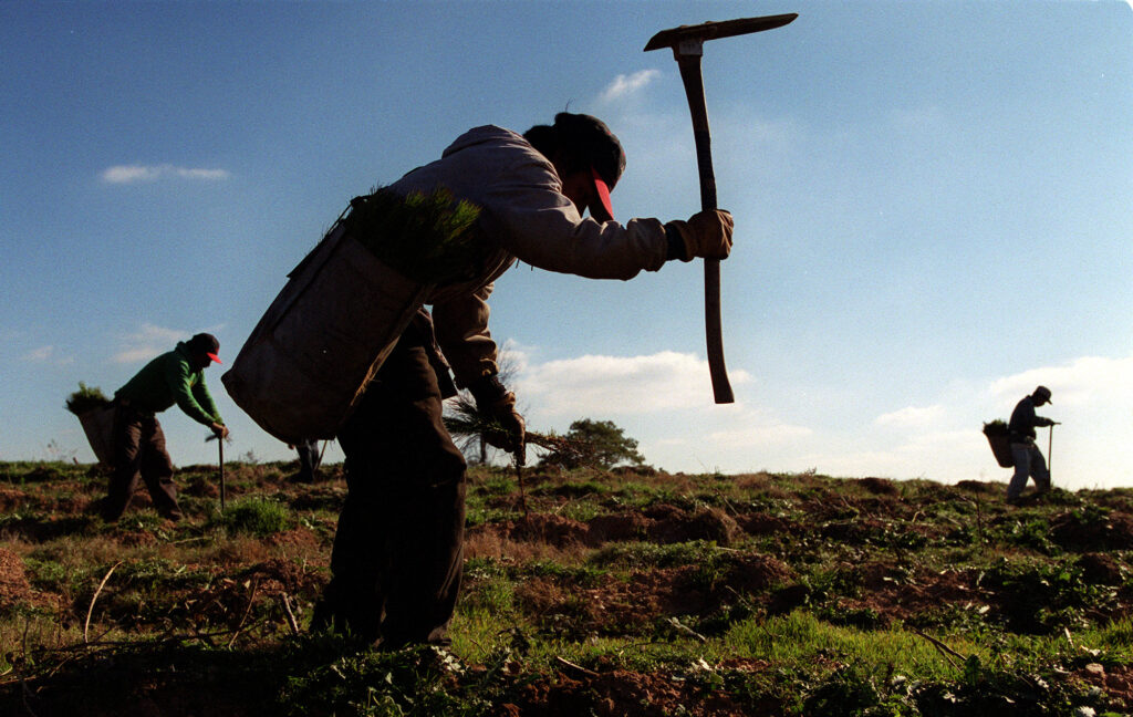 Latino Workers