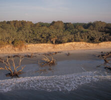 Lower Coastal Plain