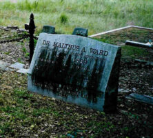 Malthus Ward Grave site