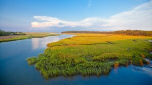 Little St. Simons Island