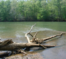 Ocmulgee River