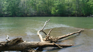 Ocmulgee River