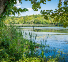 Ocmulgee River