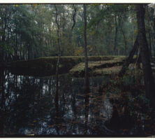 Ogeechee River