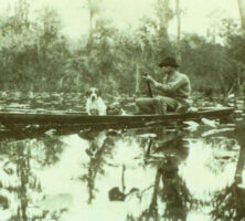 Okefenokee Swamp