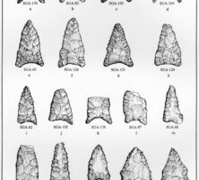 Fluted Dalton Points