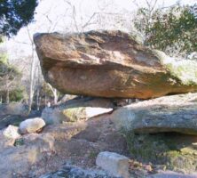 Granite Outcrop at Panola Mountain