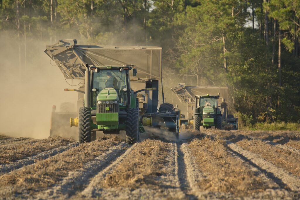 Peanut Farming