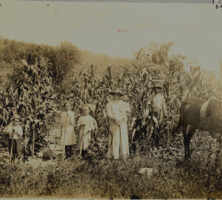 Farm Family at Rabun Gap