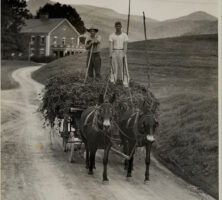 Wagon and Mules