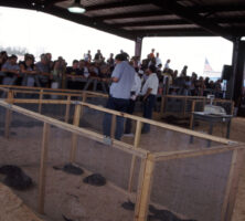 Rattlesnake Roundup