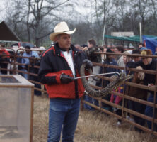 Rattlesnake Roundup