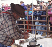 Rattlesnake Roundup