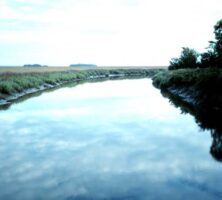 Sapelo Island National Estuarine Research Reserve