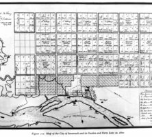 McKinnon Savannah Map