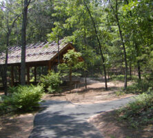 Sawnee Mountain Preserve