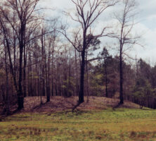 Singer-Moye Mounds