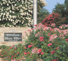 State Botanical Garden of Georgia