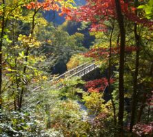 Tallulah Gorge