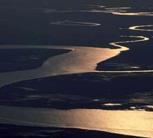 Tidal Creek, Sapelo Island