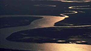 Sapelo Island