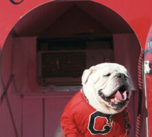 UGA V, Football Mascot