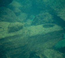 Covered Bridge Remains