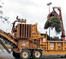 Christmas Tree Chipping