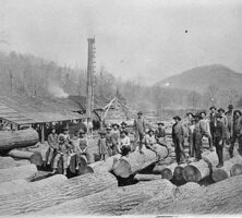 Rabun County Sawmill