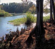 Flint River