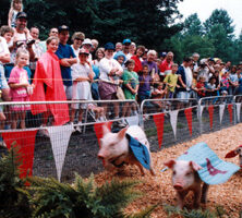 Georgia Mountain Fair