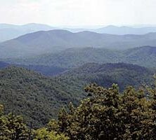 Cohutta Wilderness Area